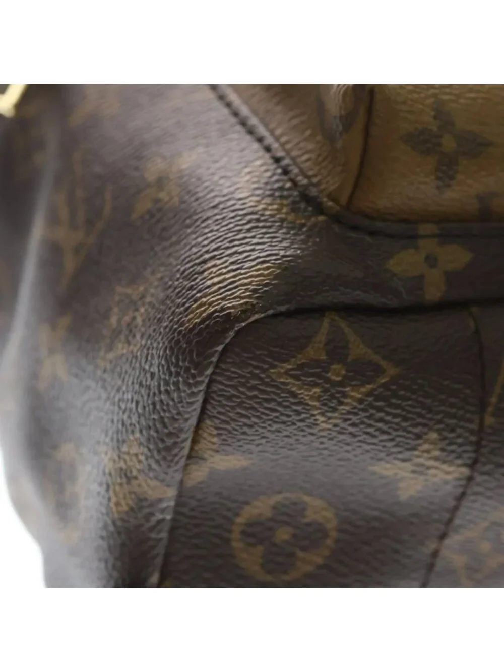 Louis Vuitton Monogram Reverse Palm Springs PM Backpack